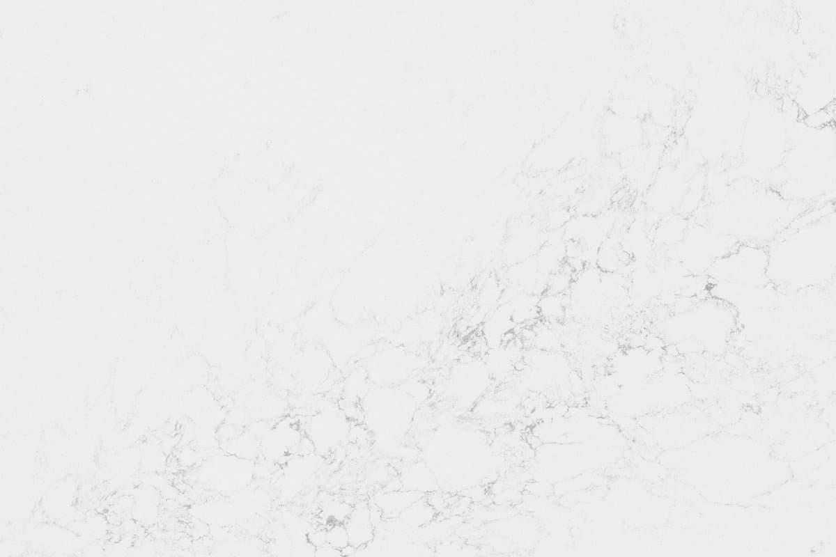 7712 Calacatta aliente